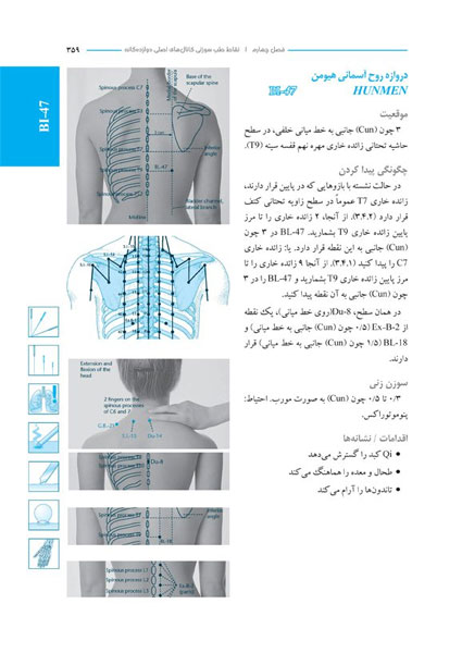 نمونه صفحات کتاب اطلس طب سوزنی دکتر محمدی
