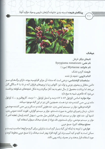 نمونه صفحه کتاب پیشگامان طبیعت
